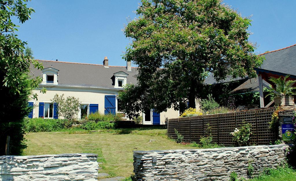 La Petite Boire - Chambres D'Hotes Pres D'Angers Murs-Erigne Værelse billede